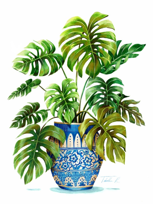 MONSTERA LEAVES IN VASE