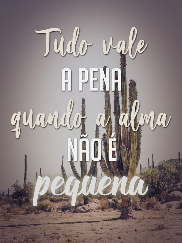 TUDO VALE A PENA QUANDO A ALMA NÃO É PEQUENA