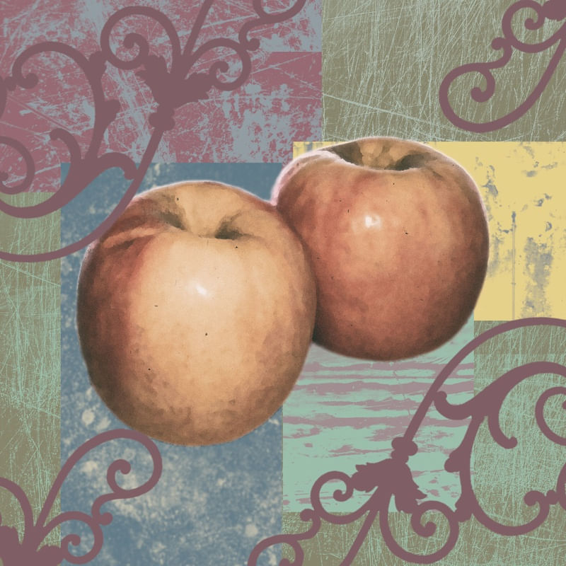 NATURE APPLE