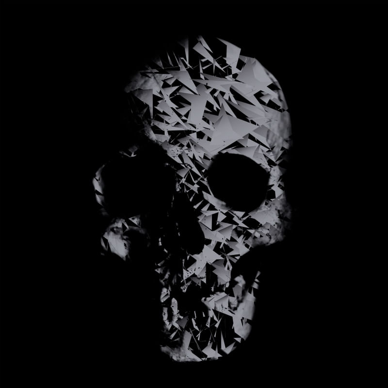 TEXTURED SKULL