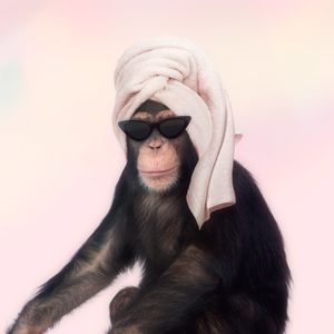 CHIMPANZEE BATHING