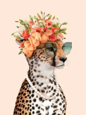 ROYAL CHEETAH