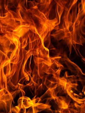 FIRE 2