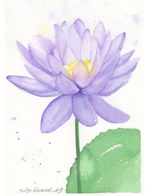 FLOR DE L�TUS AQUARELA