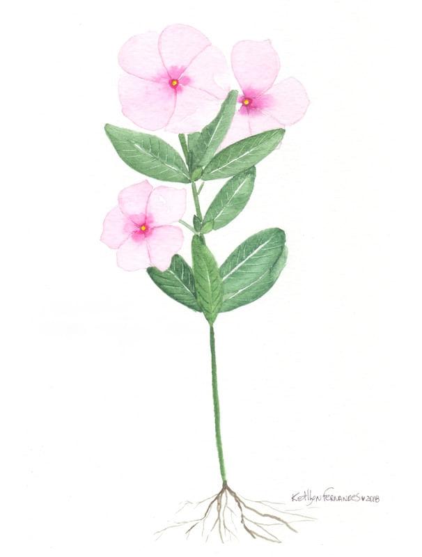 FLORZINHA DE AQUARELA