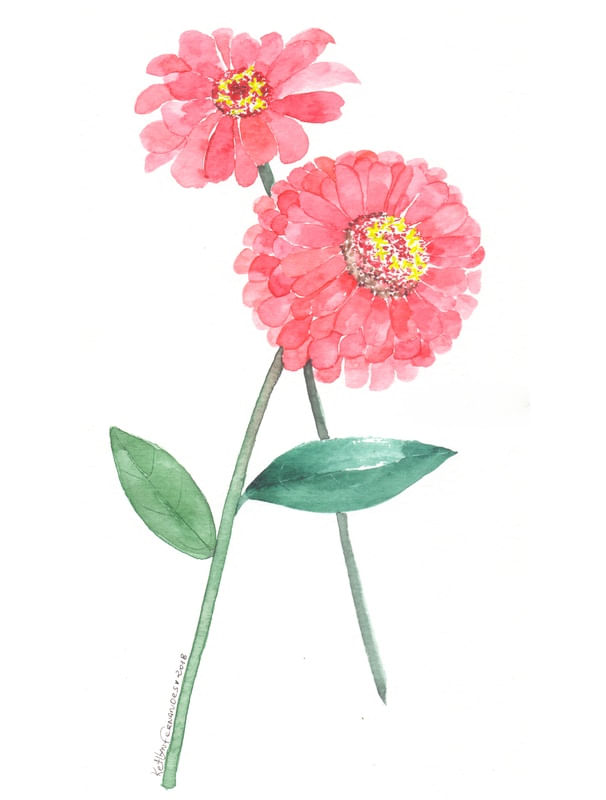 FLOR Z�NIA DE AQUARELA
