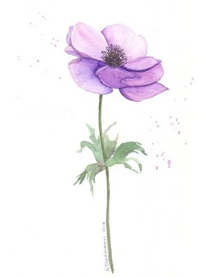 FLOR AN�MONA AQUARELA