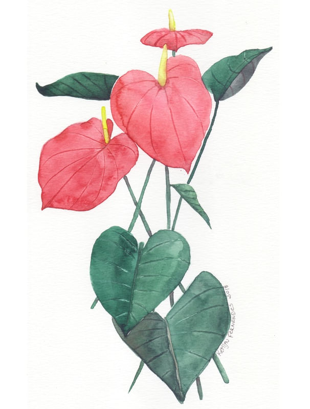FLOR ANT�RIO AQUARELA