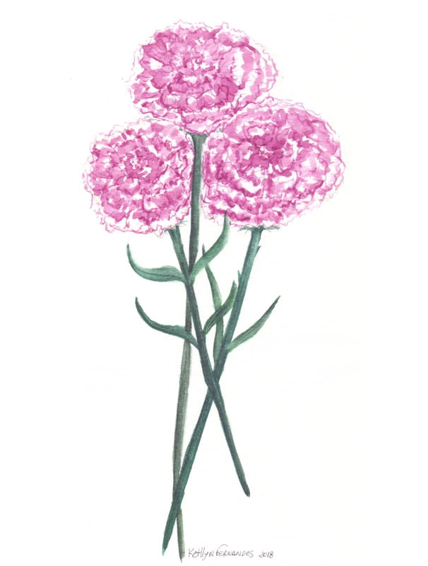 FLOR CRAVO AQUARELA