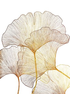 GINGKO LOVE 3, ORO E BRANCO