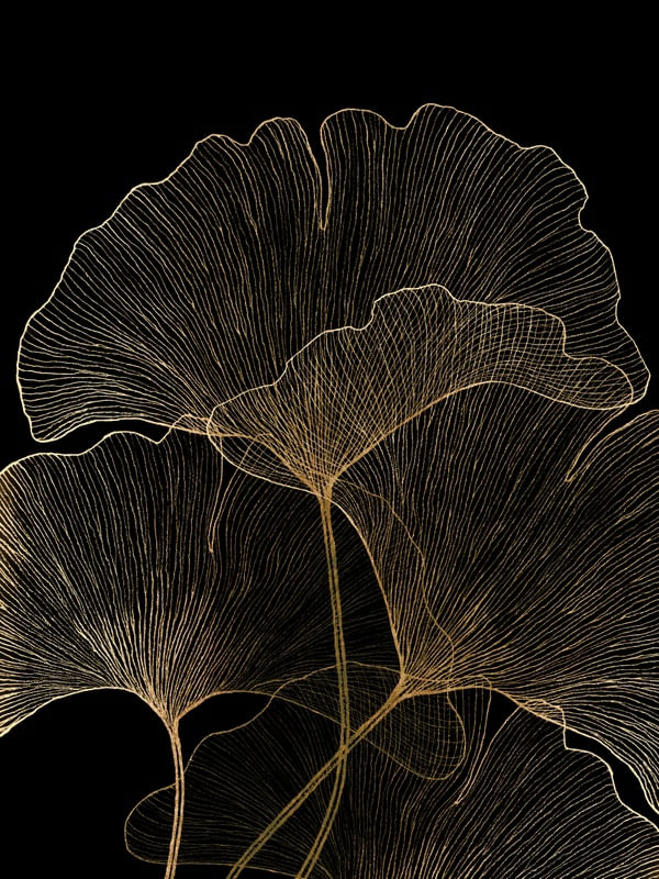 GINGKO LOVE 1, ORO E PRETO