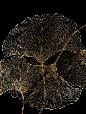 GINGKO LOVE 2, ORO E PRETO