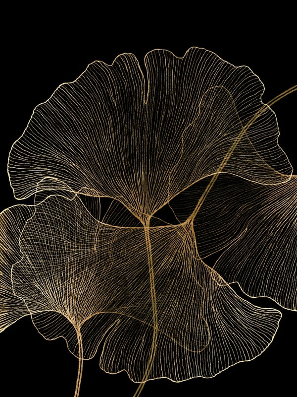 GINGKO LOVE 2, ORO E PRETO