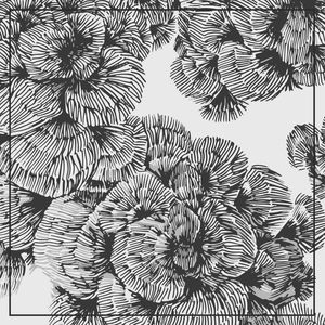 EXPLOSION OF LINES