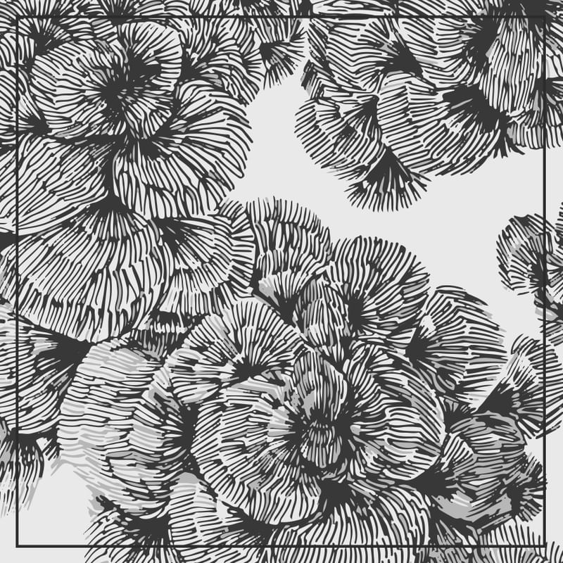 EXPLOSION OF LINES