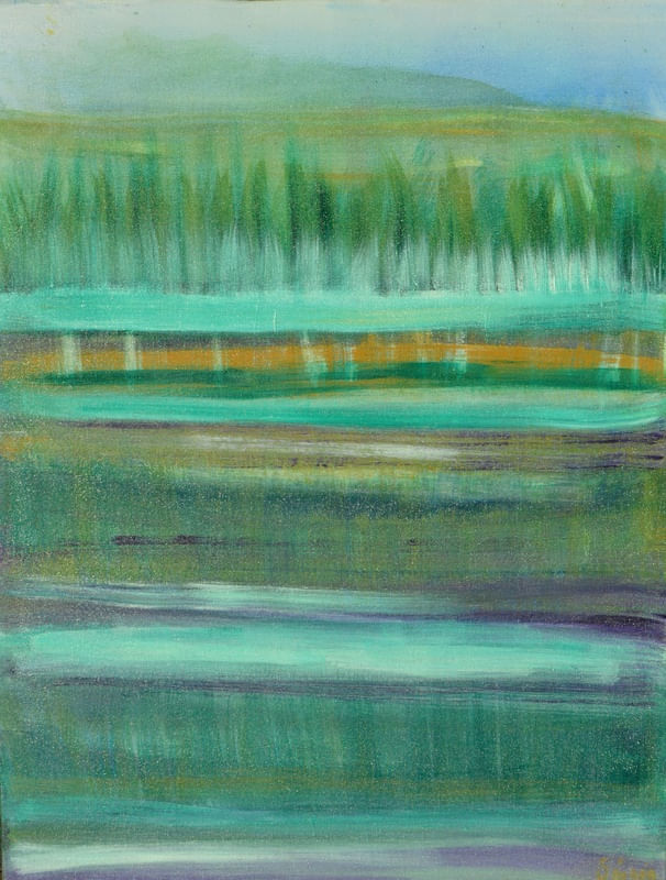 VERDE13
