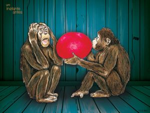 MACACOS POW