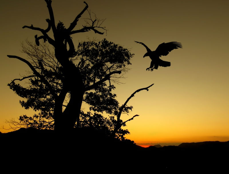 �GUIA AO ENTARDECER