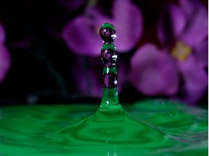 BAST�O DE �GUA SOBRE FUNDO FLORAL