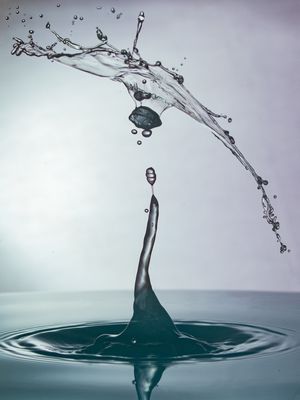 GOTA NOZES