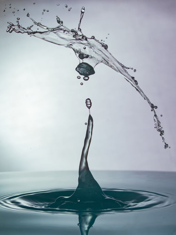 GOTA NOZES