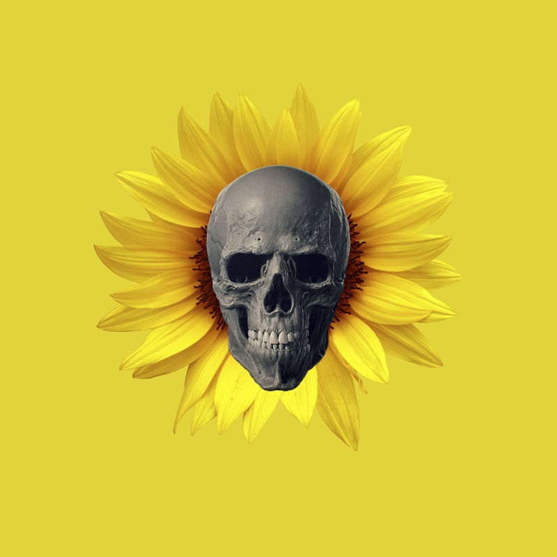 GIRA SKULL
