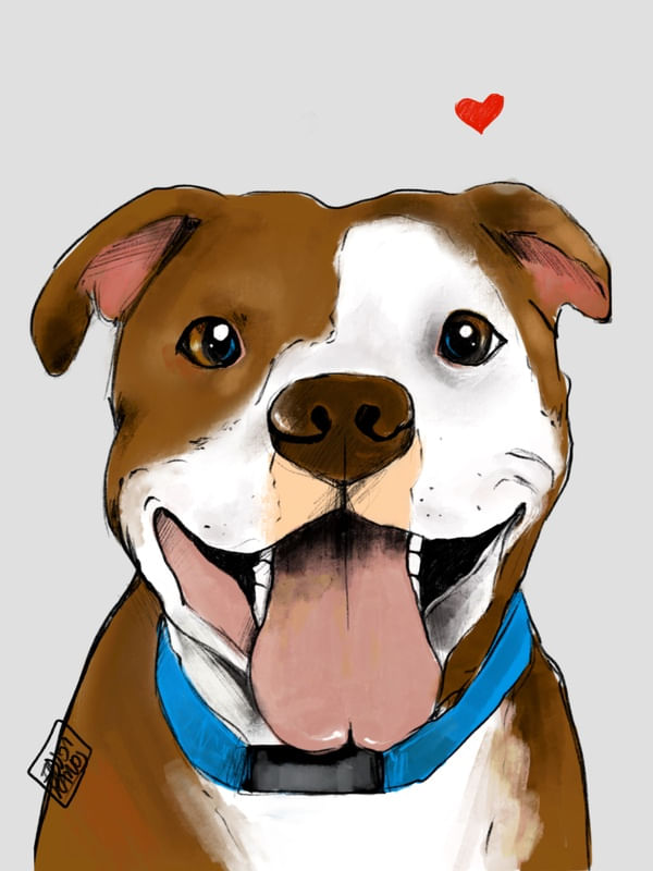 PITBULL V