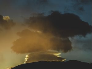 UNDER A SOUTHERN SKY