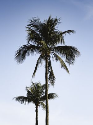 LA MAR