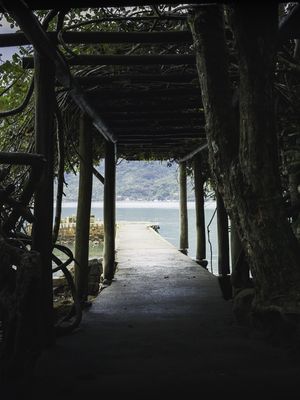 CAMINHOS DO MAR