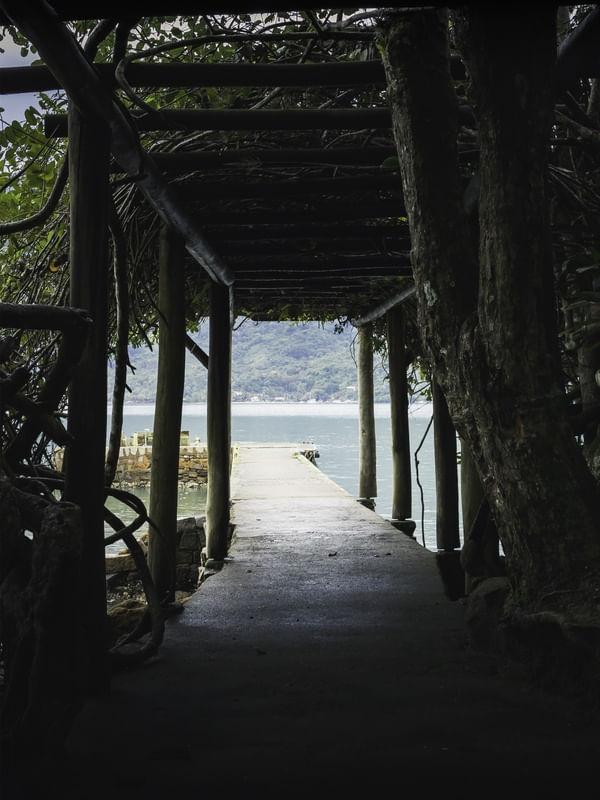 CAMINHOS DO MAR
