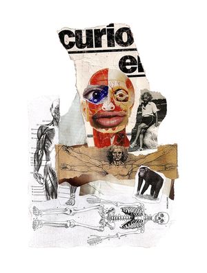 TIRANDO O EINSTEIN, SOU MAIS EU (MACACO)
