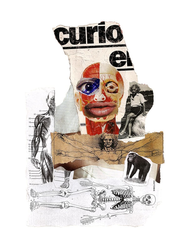 TIRANDO O EINSTEIN, SOU MAIS EU (MACACO)