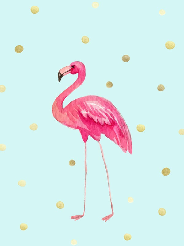 ARTE INFANTIL FLAMINGO BOLINHAS
