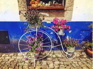 BICICLETA FLORAL