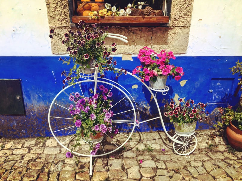 BICICLETA FLORAL