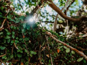 FOTOS NA NATUREZA EM PORTO BATISTA (5)