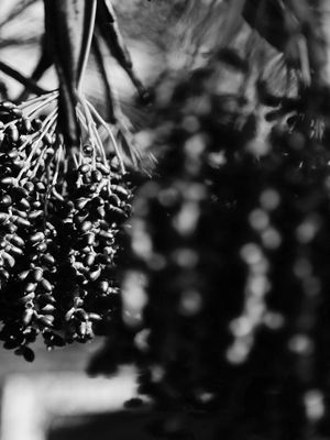A�A� NATURAL 1