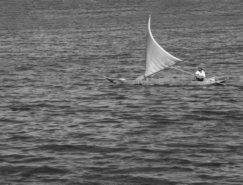 CANOA A VELA 2