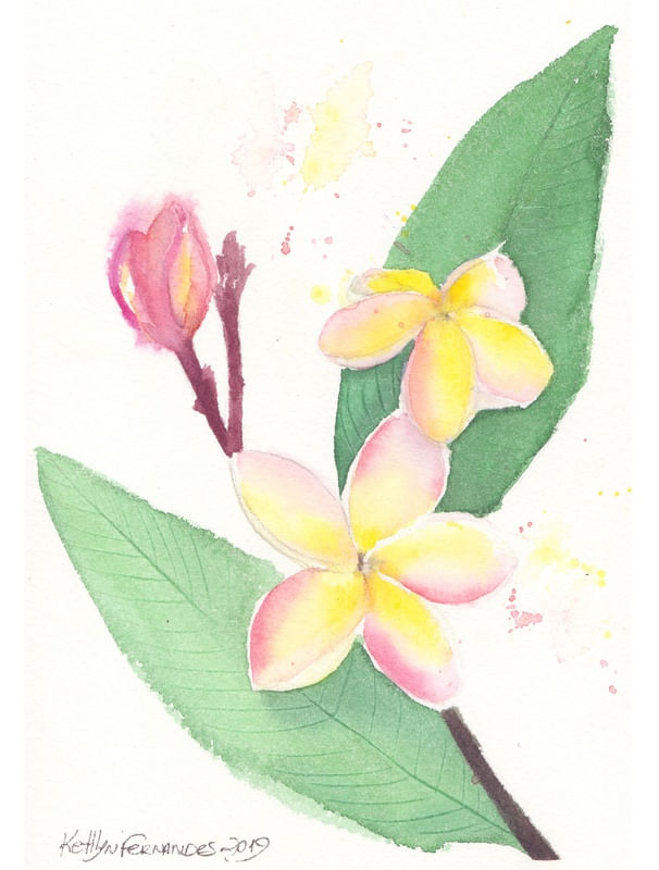 JASMIM MANGA AQUARELA