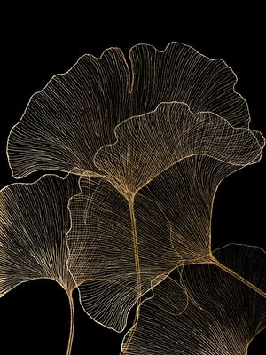 GINGKO LOVE 3, ORO E PRETO