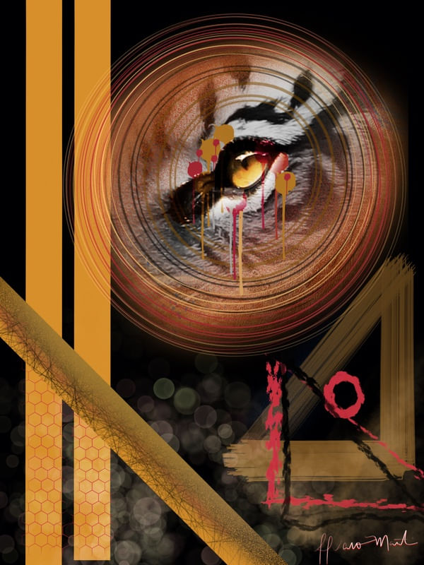 TIGER EYE