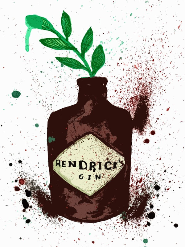 GIN E VERDE