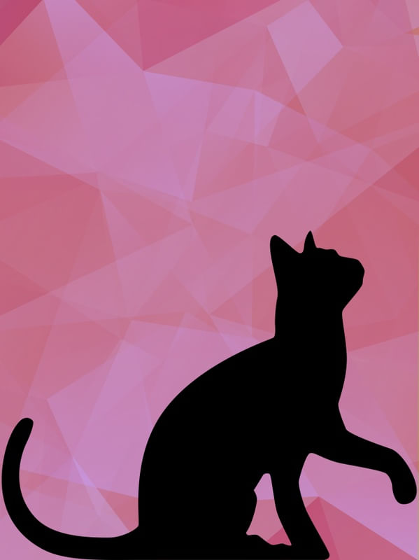 GATO I - MM
