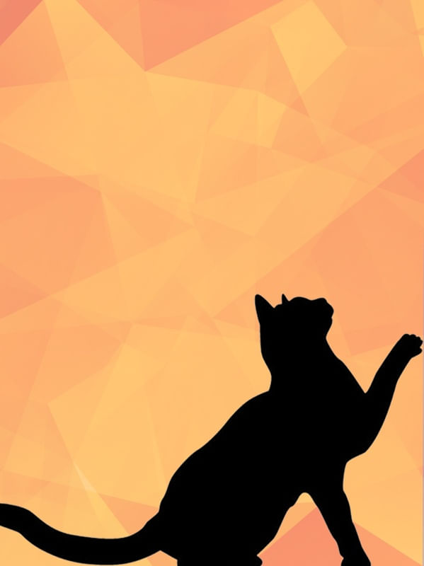 GATO II - MM