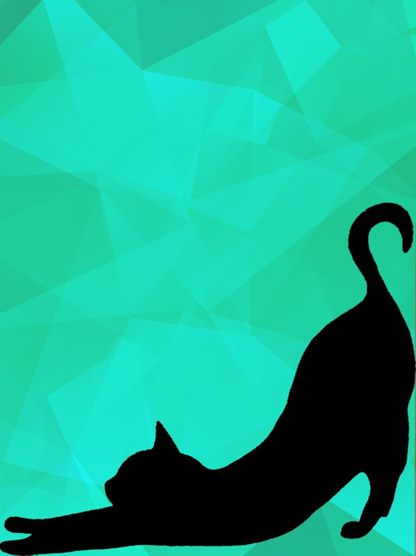 GATO III - MM