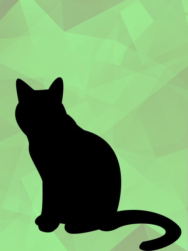 GATO V - MM