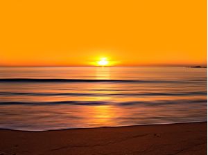 SUN DREAM