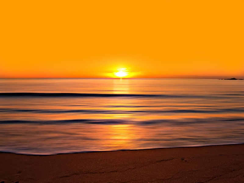 SUN DREAM