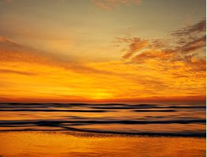 YELLOW MORNING